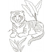 Дитяча книга розмальовок: Тварини 670008 укр. мовою