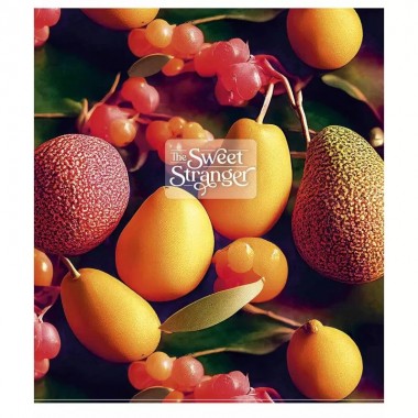 Тетрадь общая "The sweet strange" 048-3239K-5 в клетку, 48 листов