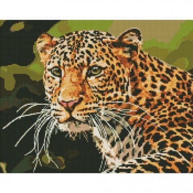 Алмазна мозаїка "Зеленоокий леопард" Ідейка AMO7502 40х50 см