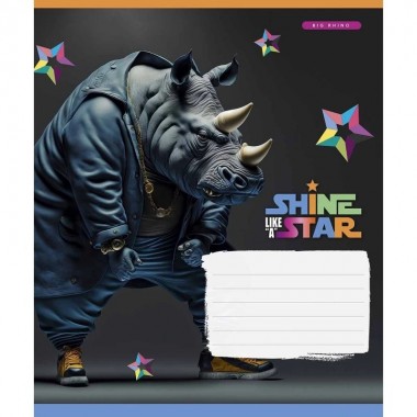 Тетрадь ученическая Dance star 018-3276K-2 в клетку, 18 листов