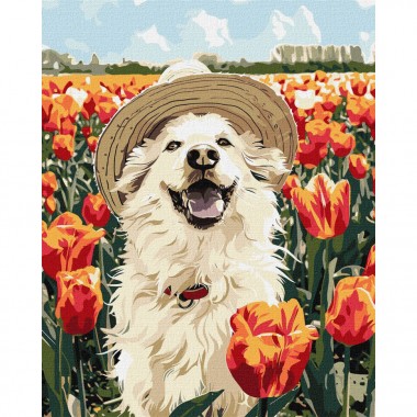 Картина за номерами  Картина за номерами