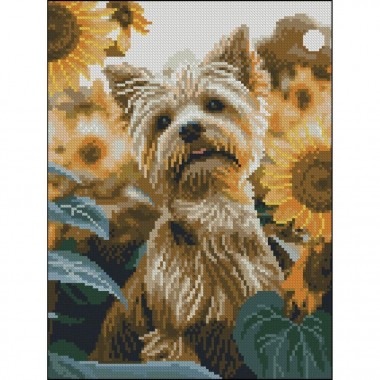 Алмазная мозаика 