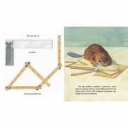 Детская книга Кастор - на все лапы мастер: плотничает и шьет 152558