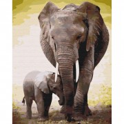 Картина по номерам "Первые дни слоненка" Brushme BS52150 40х50 см