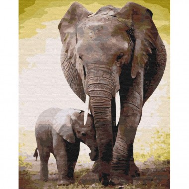 Картина по номерам Первые дни слоненка Brushme BS52150 40х50 см