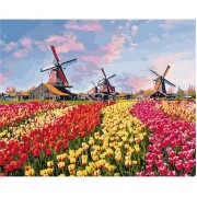 Картина по номерам Идейка Сельский пейзаж Красочные тюльпаны Голландии 40*50см KHO2224
