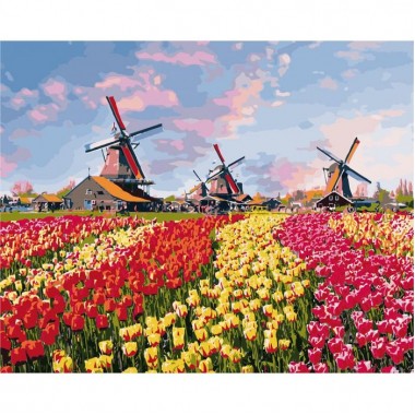 Картина по номерам Идейка Сельский пейзаж Красочные тюльпаны Голландии 40*50см KHO2224