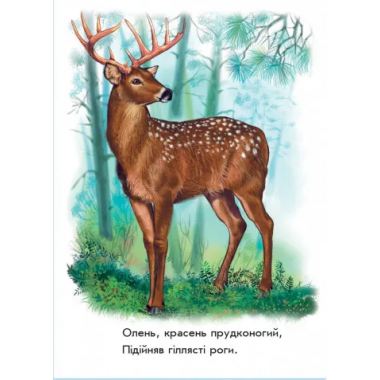 Книга детская Ребятам о зверятах. Лесные зверята. С аудиосопровождением 212011