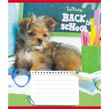 Тетрадь ученическая Тетрадь ученическая