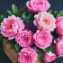 Алмазная мозаика Пионы в деревянном сундуке HEE16353 30х30 см Алмазная мозаика Пионы в деревянном сундуке HEE16353 30х30 см