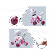 Животное FXD Кот MG013