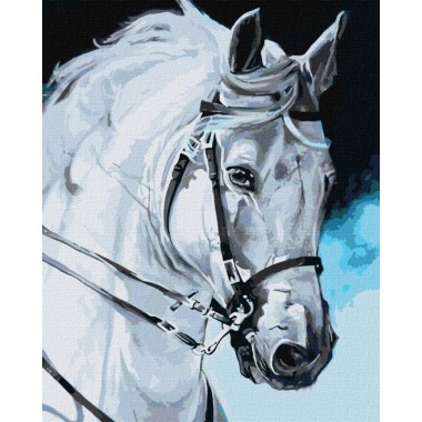 Картина по номерам Гордый конь KHO4387 40х50 см