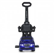 Дитяча каталка-толокар 2 в 1 M 3901LS-4 з батьківською ручкою