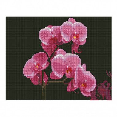 Алмазная мозаика. Strateg FA11877 Розовые орхидеи 40х50 см