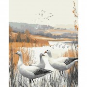 Картина по номерам 