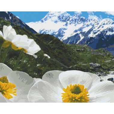 Картина по номерам. Art Craft Альпийские маки 38*50 см 10544-AC
