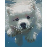 Алмазная мозаика 