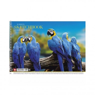 Альбом для рисования Animal PB-SC-030-287-3 спираль, 30 листов