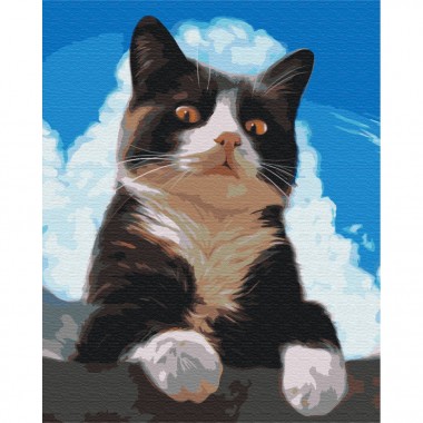 Картина по номерам Любознательный котик Brushme BS51941 40х50 см
