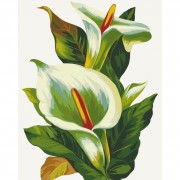 Картина по номерам без подрамника