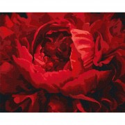 Картина по номерам Изысканный цветок Идейка KHO3121 40х50 см