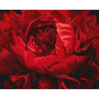 Картина за номерами "Вишукана квітка" Ідейка KHO3121 40х50 см