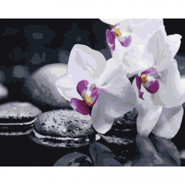 Картина по номерам Цветы дзена Brushme BS21140 40х50 см