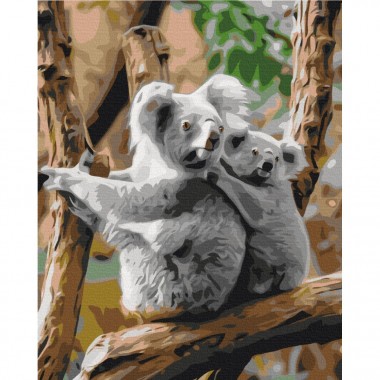 Картина по номерам Семья коал Brushme BS52451 40х50 см