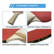 Набір для настільного тенісу VITOR NE-VT-6, 2 ракетки, 3 кульки, сітка