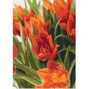 Картина по номерам Идейка Букет Яркие тюльпаны 2 40*50см KHO3012