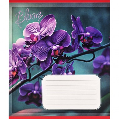 Зошит учнівський 