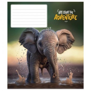 Тетрадь ученическая Adventure 018-3291L-2 в линию, 18 листов