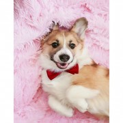 Алмазна мозаїка