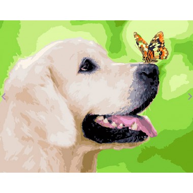 Картина по номерам Brushme Лабрадор и бабочка GX29813