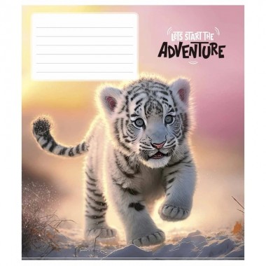 Тетрадь ученическая Adventure 018-3291L-5 в линию, 18 листов