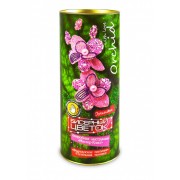 Набор для творчества Danko Toys Бисерный цветок Орхидея 2701-1