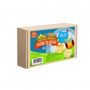 Набор детского творчества Роспись по дереву «Магниты-совы» РД-005