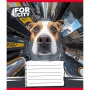 Тетрадь ученическая 