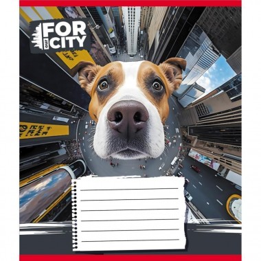 Тетрадь ученическая 