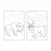 Раскраска Магия цвета. Вселенная Мавки Ранок 1807001 с наклейками