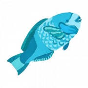 Набор детского творчества Роспись по дереву «Магниты-рыбы» РД-007