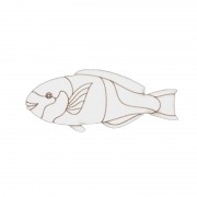 Набор детского творчества Роспись по дереву «Магниты-рыбы» РД-007