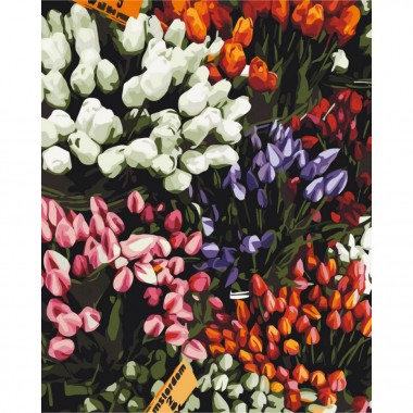 Картина за номерами "Ярмарка тюльпанів" Brushme BS52646 40х50 см