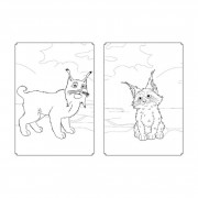 Раскраска Магия цвета. Магический Лес Ранок 1807003 с наклейками