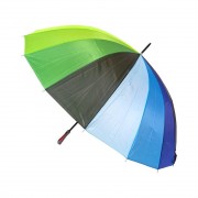 Парасолька-тростина