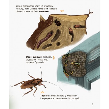 Детская энциклопедия про насекомых 614014 для дошкольников