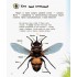 Детская энциклопедия про насекомых 614014 для дошкольников