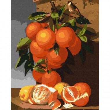 Картины по номерам Апельсины и лимоны Идейка KHO5651 40х50см