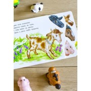 Картонки-развивайки 410023 Первые шаги. На ферме