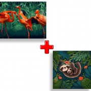 Набір картин за номерами 2 в 1 Ідейка